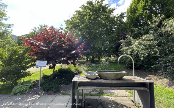 Armbecken im Kurpark