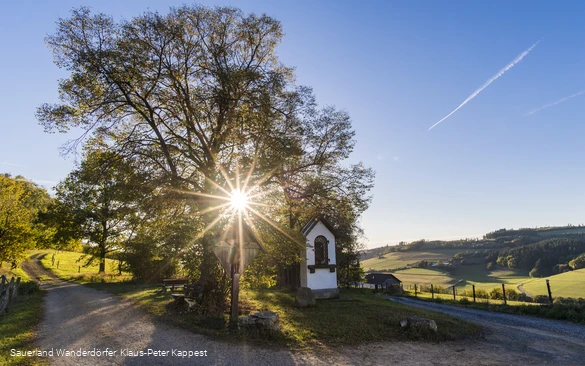 Sauerland Seelenort Lausebuche