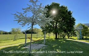 Hängematte am Sportplatz