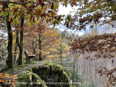 Sitzbank am Walderlebnispfad