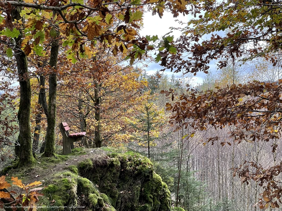 Sitzbank am Walderlebnispfad